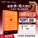 SEAYEO【情人节礼物】昔又大排灯Pro Max光子嫩肤美容仪红蓝光面罩面膜仪家用美容仪器 Max