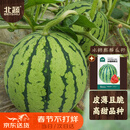 北蔬 冰糖麒麟西瓜种子种苗超甜脆四季水果种籽 冰糖麒麟瓜种子约50粒