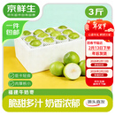 京鲜生  福建牛奶青枣 3斤装 单果70g起 时令生鲜水果 源头直发 包邮