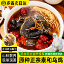 原种泰和乌鸡正宗乌骨鸡活鸡新鲜现杀白凤农家散养土鸡公鸡老母鸡 母乌鸡 400天乌鸡【现杀现发可切块】