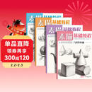 4册《素描基础教程》入门临摹教材书籍零基础初学自学起步石膏几何体静物结构人物头像铅笔绘画画册美术技法  