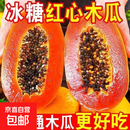 京喜加海南木瓜红心牛奶木瓜树上熟新鲜水果煲汤孕妇 带箱5斤净重4.5斤（单果300g+）
