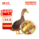 华英（HUAYING） 赣南散养生态麻鸭净重2.5斤/袋冷冻整鸭新鲜土鸭煲汤红烧食材