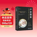 《尸变图鉴：自然环境下的尸体变化》