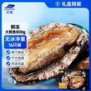 灵略 鲜冻大鲍鱼 净重800g 16粒盒装 鲍鱼火锅烧烤  贝类海鲜 生鲜
