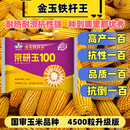 京研玉100玉米种子（金玉铁杆王）抗穗腐长马齿红轴大棒抗病抗倒 4袋送1袋