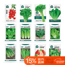 北蔬各种蔬菜种子生菜草莓香菜小香葱黄瓜阳台四季菜籽 12种蔬菜种子