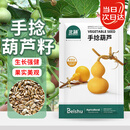 北蔬 手捻小葫芦种子苗文玩特小阳台庭院爬藤盆栽籽 手捻葫芦种子10粒