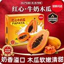 闽域寻鲜木瓜冰糖心红心木瓜牛奶木瓜树上熟新鲜当季水果广西红心牛奶木瓜 5斤【SS+级精选 | 单果350g+】净4.5斤