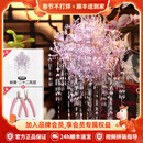 拼酷粉黛二十二凤冠 粉冠粉红色凤冠 3d立体拼图生日新年礼物送女友 粉黛二十二凤冠+粉色工具套装