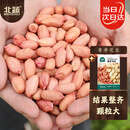 北蔬 花生种子种苗原种品种山东本地花生 鲁寿花生种子(不带壳)500g
