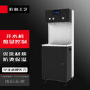 苏勒节能直饮水机商用反渗透过滤净水器热温工厂用商务机不锈钢 柜式 1开1温