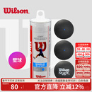 威尔胜（Wilson）专业比赛壁球初学训练蓝点红点双黄点罐装壁球 【桶装1蓝点】WRT618400