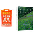 我的世界是一座花园：蒙提·唐的四季自然笔记 园艺