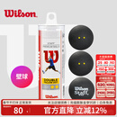 威尔胜（Wilson）专业比赛壁球初学训练蓝点红点双黄点罐装壁球 【桶装2黄点】WRT617900