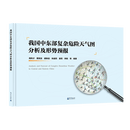 我国中东部复杂危险天气图分析及形势预报