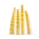 【春菜】春笋尖200g（长度≤20cm）