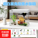 金晶超白直角玻璃鱼缸桌面家用生态小型自循环过滤增氧造景水族箱 超白直角水族箱（蘑菇造景+豪华礼包） XM240【220*160*230mm】