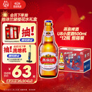 燕京啤酒 U8小度酒500ml*12瓶 整箱装 年货送礼 新老包装交替发货