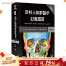 奈特人体解剖学彩色图谱 第八版 第8版 人民卫生出版社旗舰店翻译新版临床医学外科学教材书局部系统解刨学书籍19全身正常医学实用动态局解全彩图谱2023