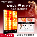 SEAYEO【情人节礼物】昔又大排灯Pro Max光子嫩肤美容仪红蓝光面罩面膜仪家用美容仪器 Max
