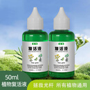 【厂家直销】植物复活液 植物黄叶光杆绿植花卉通用型营养肥料 复活液50ml*5瓶