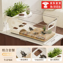 华胜冠乌龟专用缸乌龟生态缸 月光白-大号【长37宽19高14】 送晒台+植物盒+进食盒