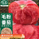 寿禾 毛粉沙瓤番茄种子种苗西红柿冬春菜籽 潍育粉冠大番茄种子100粒