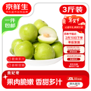 京鲜生 福建贵妃枣 3斤装 单果60g起 青枣时令生鲜水果 源头直发 包邮