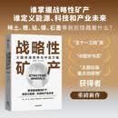 战略性矿产 大国资源竞争与中国方略 稀土 锂 钴 石墨等全球关键能源的争夺与投资策略 清洁能源转型 高科技产业 民生环保 国防军工 知名矿企 全球布局 杨丹辉 刘刚 著