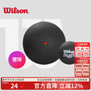 威尔胜（Wilson）专业比赛壁球初学训练蓝点红点双黄点罐装壁球 【单颗1红点】WRT617200