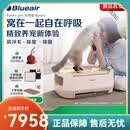 布鲁雅尔（Blueair）宠物空气净化器吸猫毛消毒机布噜噜PetAirPro 奶糕白