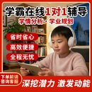 巧辅导线上一对一家教辅导老师在线教学1对1上网课教学补课补习小初高全年级全科目在线直播答疑解惑 小 状元老师