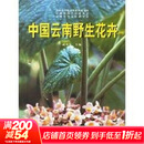 中国云南野生花卉 中国林业出版社 武全安 著作 著 书籍