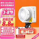 神牛（Godox）ML100Bi摄影灯双色温可调便携夜拍灯人像补光灯户外控制室电影视频摄像灯  ML100Bi【官方标配】