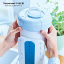 特百惠（Tupperware）净水器滤芯 纳美玲珑牌TPW-C1型家用厨房直饮机滤水配件