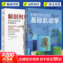 解剖列车第4版 基础肌动学 第4版 2023新版简体中文第四版 身体解读 徒手与动作治疗的肌筋膜经线 彩色人体解剖学结构 北京科学技术出版社 9787571425982 解剖列车 第4版+基础肌动学 