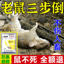 耗子鼠药特效三步到一闻就死鼠一窝端家用室外死超强力特效药驱赶 2袋 【特效灭鼠】当晚灭