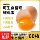 京喜加贵州蛋场直供可生食富硒蛋营养健康早餐鲜鸡蛋无激素30枚60枚 30枚贵州可生食富硒鲜鸡蛋（1350克）