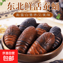 鲜活蚕蛹肉新鲜小二黄蚕肉营养美味东北特产新鲜蚕蛹高蛋白 新鲜二黄蚕蛹净重1斤