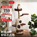 兽牌树屋猫爬架大型猫树猫窝一体实木猫抓柱小户型猫架子豪华猫屋暖冬 树屋猫爬架【经典色】