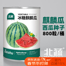 北蔬西瓜种子种苗麒麟8424甜脆盆栽西瓜籽 冰糖麒麟瓜种子约800粒桶装