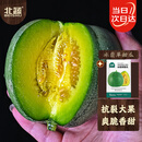 北蔬冰翡翠甜瓜种子种苗超甜绿宝石香瓜水果籽 冰翡翠甜瓜种子约50粒