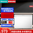 海信（Hisense）300升大容量减霜冰柜家用冷冻冷藏切换卧式冷柜商用300S1HNKQD 300S1HNKQD
