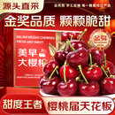 RONGXIAN车厘子樱桃【JD/顺丰-多地次日达】大连美早大樱桃新鲜水果送礼物 5斤(净重) 精美礼盒【80%人选择】 大果 J 单果26-28mm