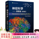 【全新正版，京仓直发】神经科学--探索脑(第4版)(精)
