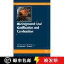 【3-4周达】精装 Underground Coal Gasification and Combustion