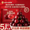 松筱车厘子樱桃【顺丰/JD-多地次日达】大连美早大樱桃新鲜水果送礼物 3斤(净重) 果王3J级30-32mm