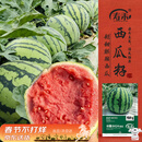 寿禾 西瓜种子瓜籽苗早熟特大麒麟超甜皮薄 冰糖8424西瓜种子120粒