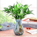 竹柏盆栽水培驱蚊植物室内客厅卧室桌面盆栽四季常青c 驱蚊竹10颗+水培玻璃瓶+营养液【万人选择】